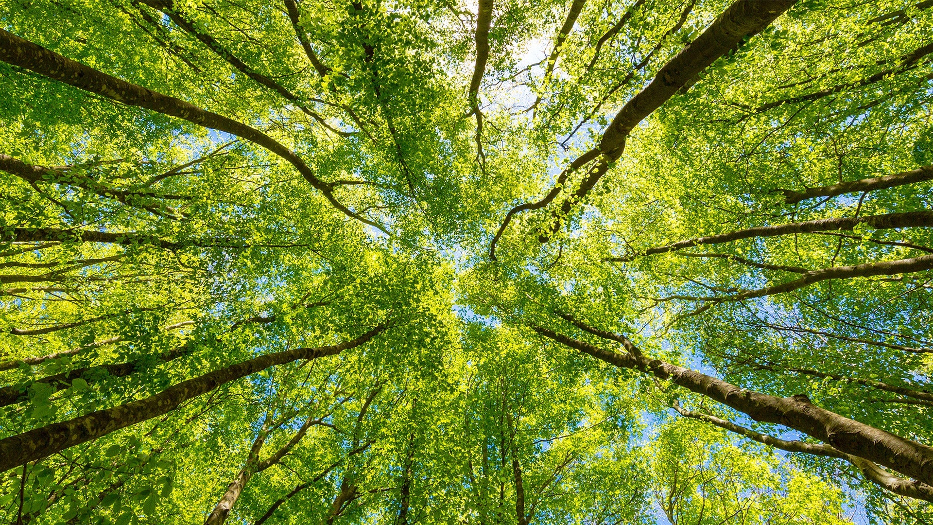 HARNESSING THE POWER OF AUSTRALIAN NATURE