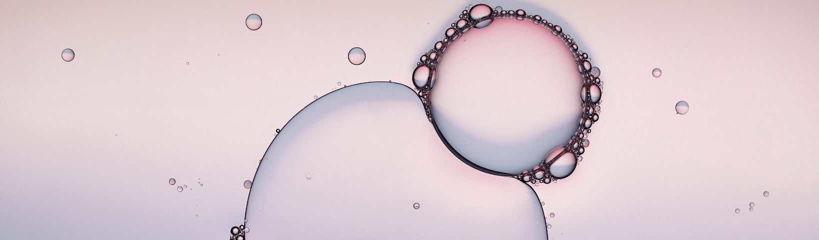 4 FACTS YOU NEED TO KNOW ABOUT BIOSOME6