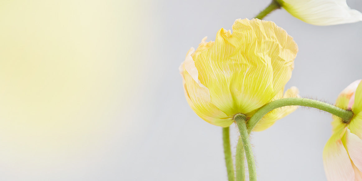 WHEN DID YOU FIRST TRULY SEE YOUR MUM?