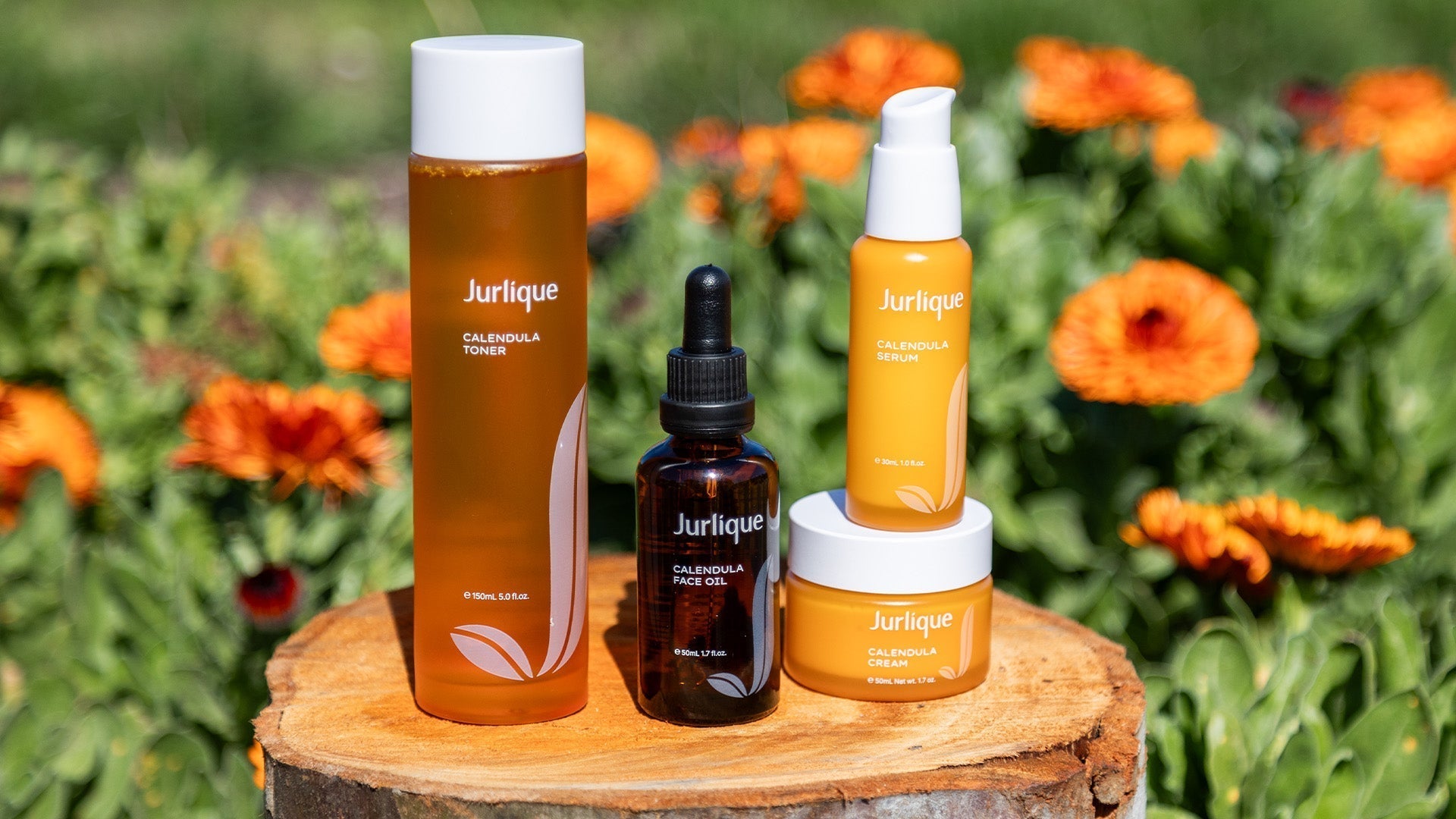 Jurlique Natural Skincare | Calendula Range