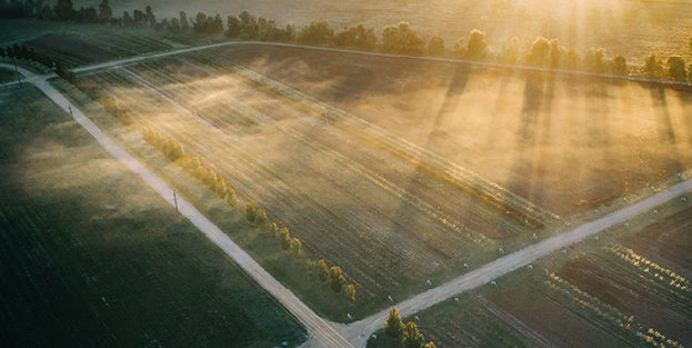 WHY AIR QUALITY MATTERS IN YOUR SKIN CARE