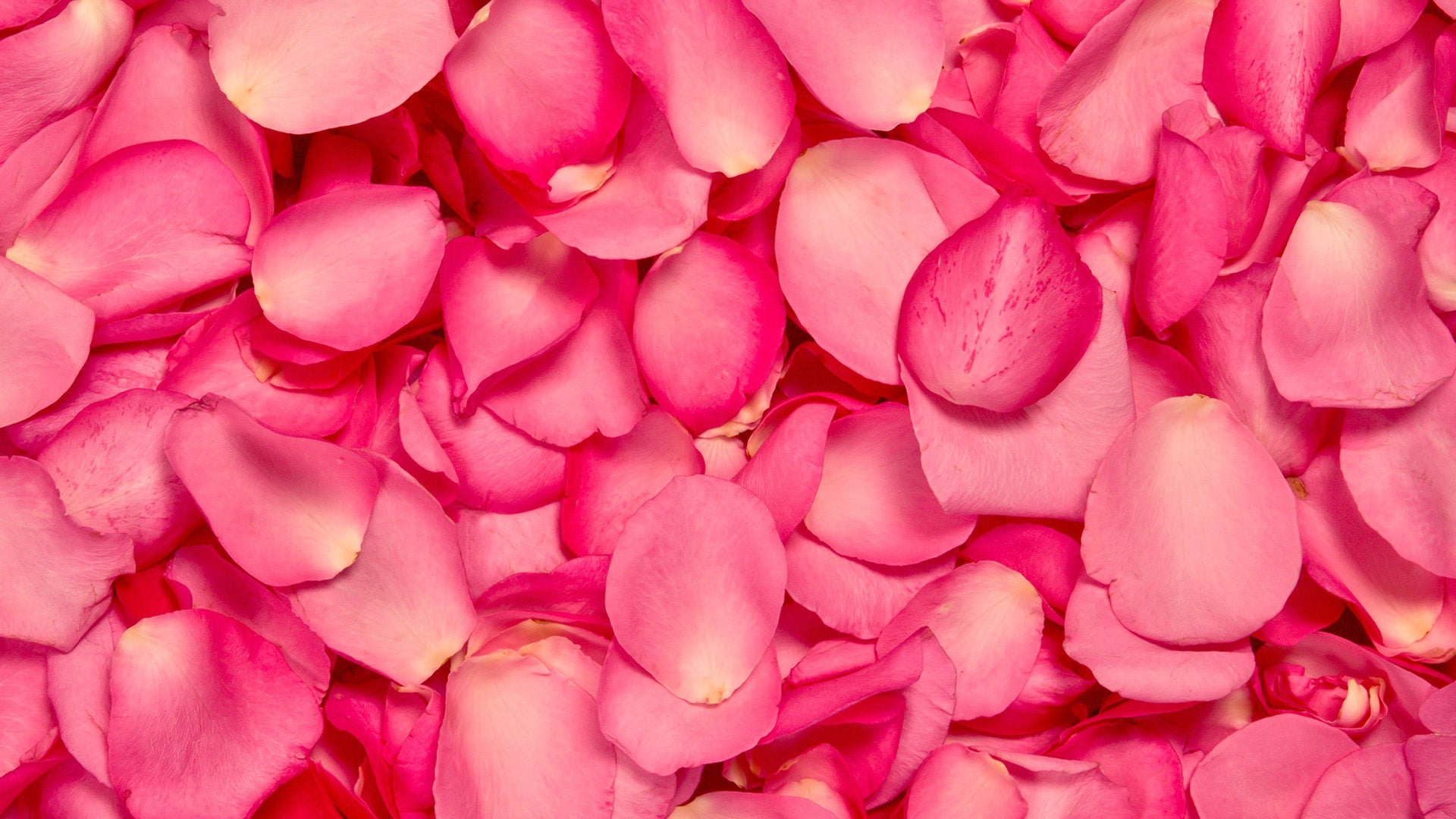 THE ULTIMATE VALENTINE’S DAY GIFT GUIDE