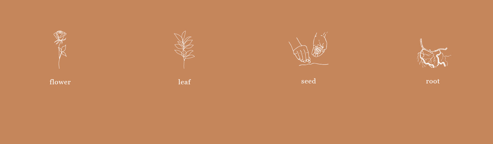 WHAT IS BIODYNAMIC FARMING…AND WHY DOES IT MATTER?