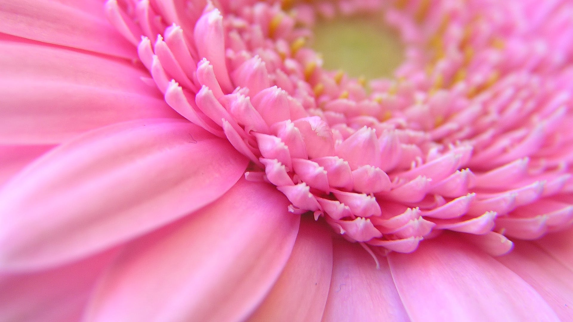 FINDING YOUR FOCUS BY VASHTI WHITFIELD