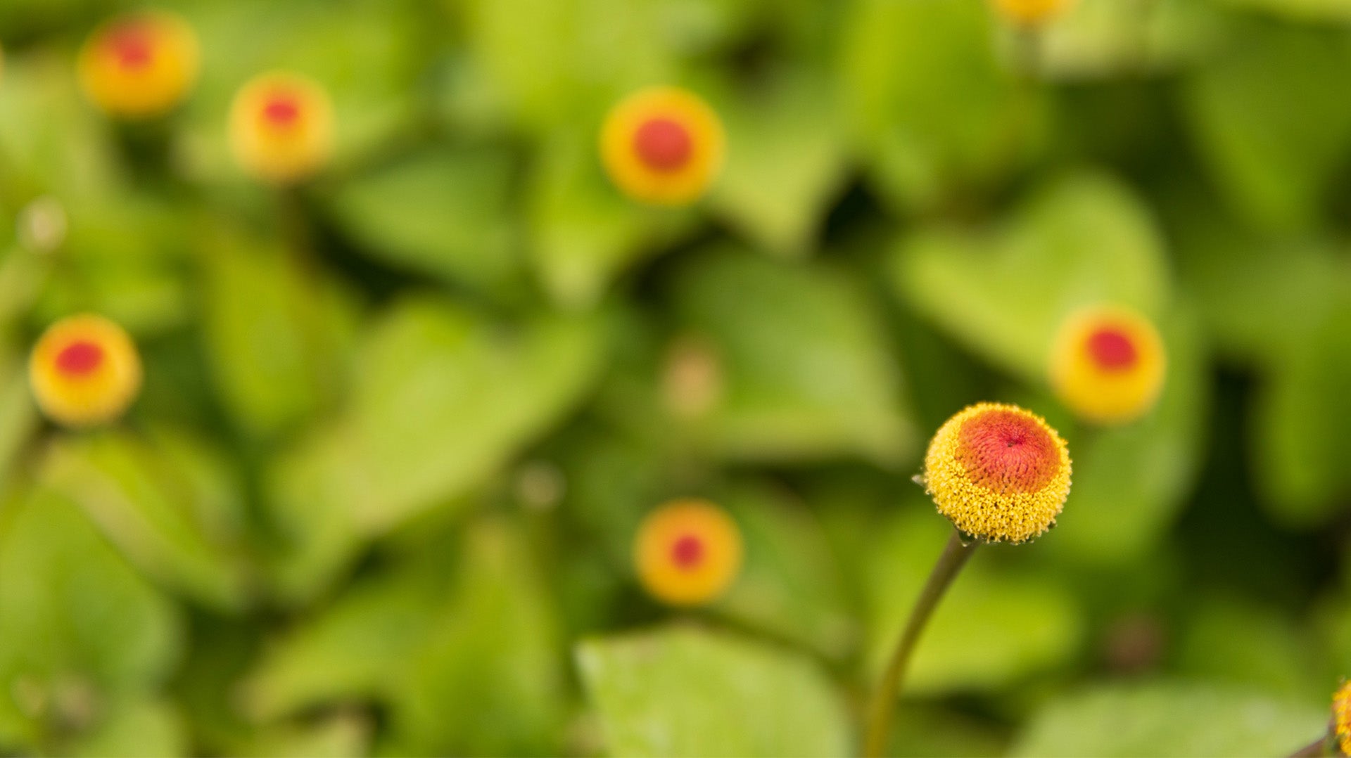 UNDERSTANDING YOUR BEAUTY EVOLUTION