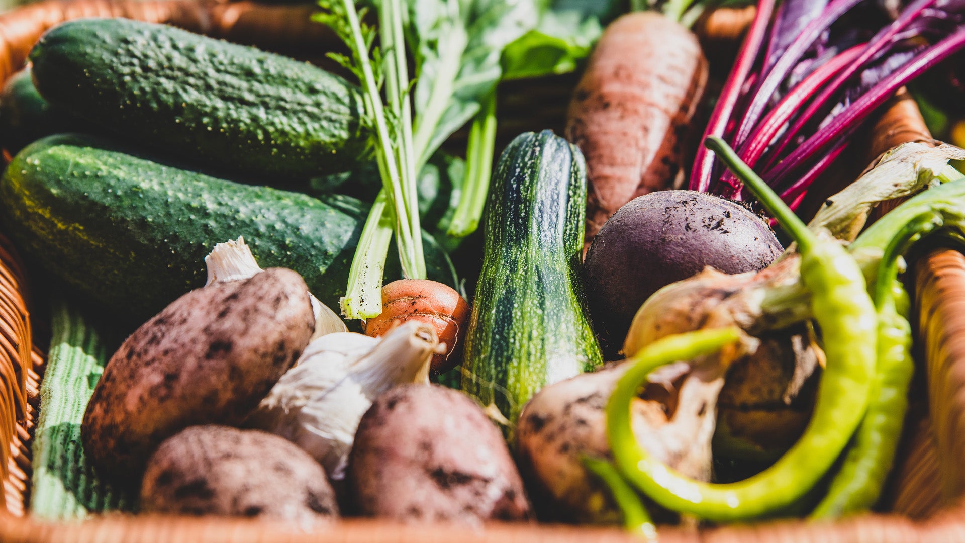 WHY YOU NEED A MORE PLANT-BASED DIET BY JACQUELINE ALWILL