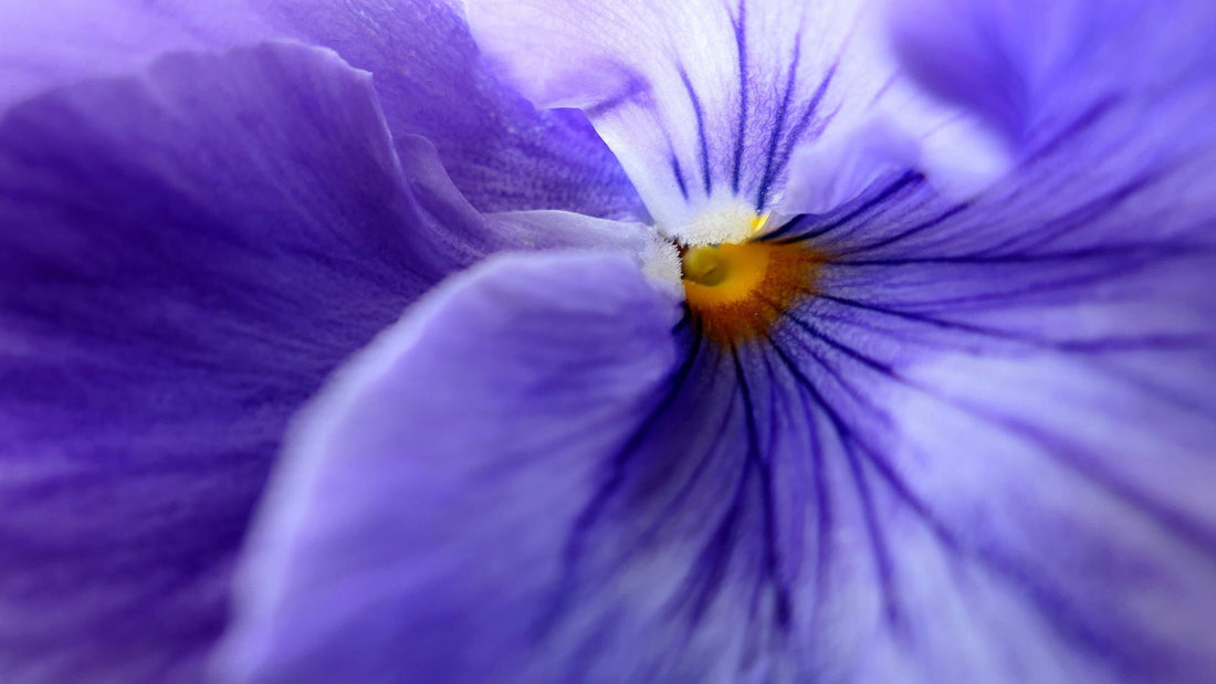 THE BEST NIGHT TIME SKIN CARE ROUTINE FOR ALL SKIN TYPES