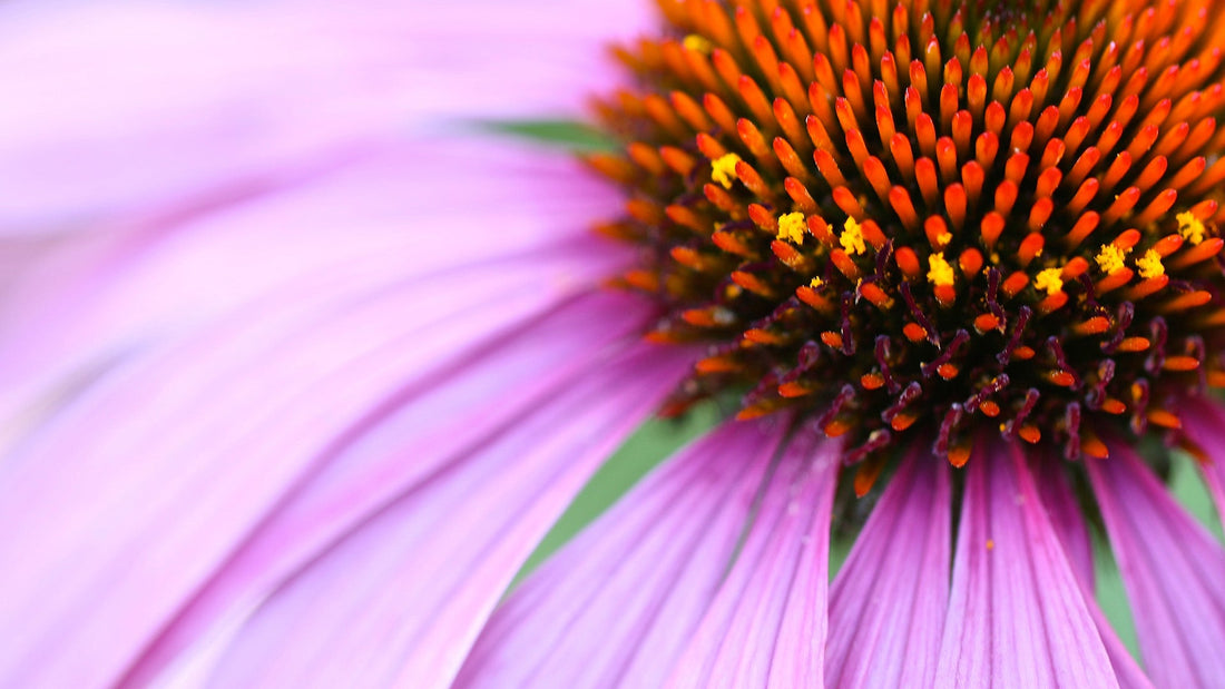 5 SELF-CARE RITUALS TO ADD TO YOUR ROUTINE