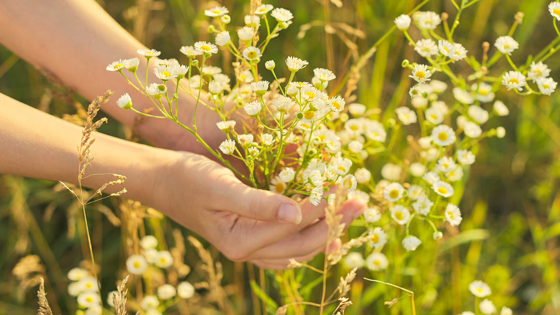 8 WAYS TO LIVE MORE SUSTAINABLY