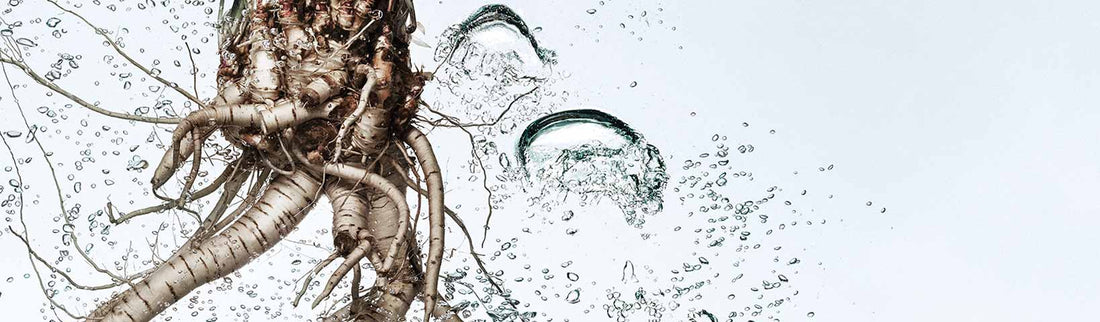 EVERYTHING YOU NEED TO KNOW ABOUT FACE ESSENCES