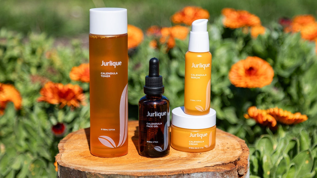 Jurlique Natural Skincare | Calendula Range