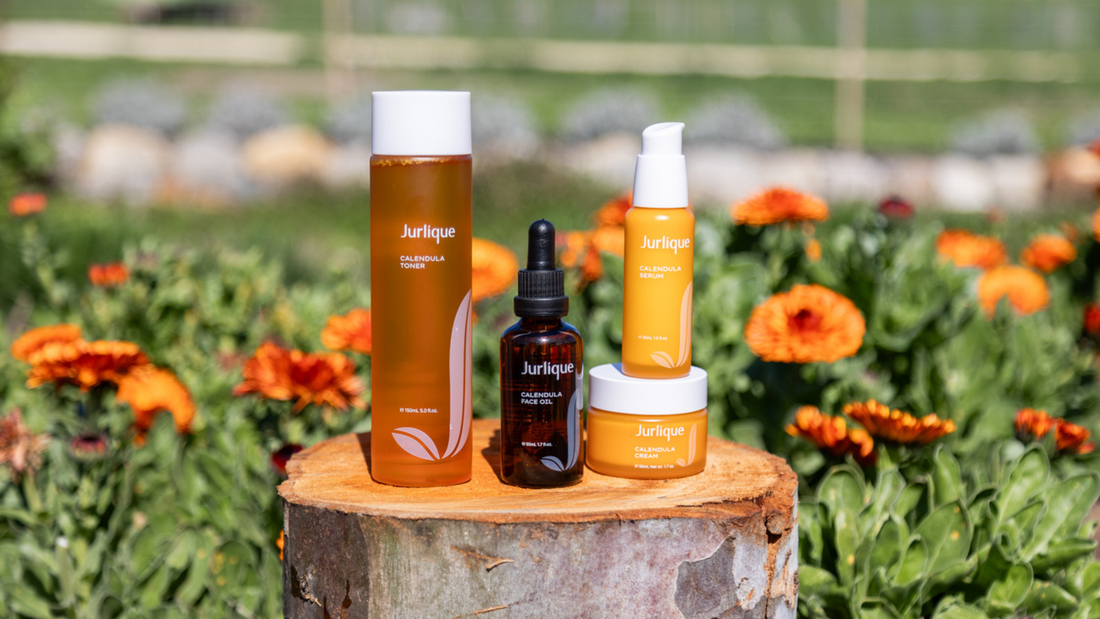 Calendula for Skin: Benefits & Why It’s Used in Skincare