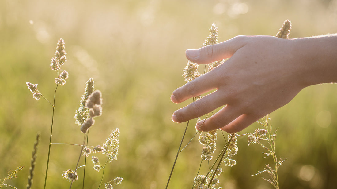 IN CONVERSATION WITH TARLIE RUSSELL