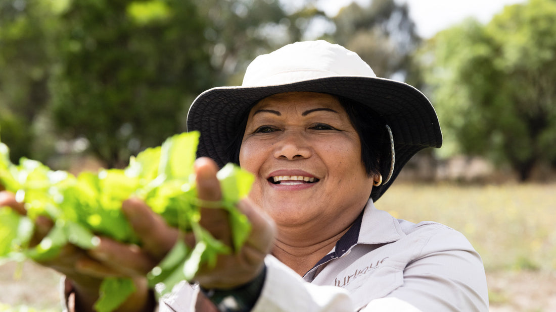 OUR JOURNEY TO B CORP CERTIFICATION