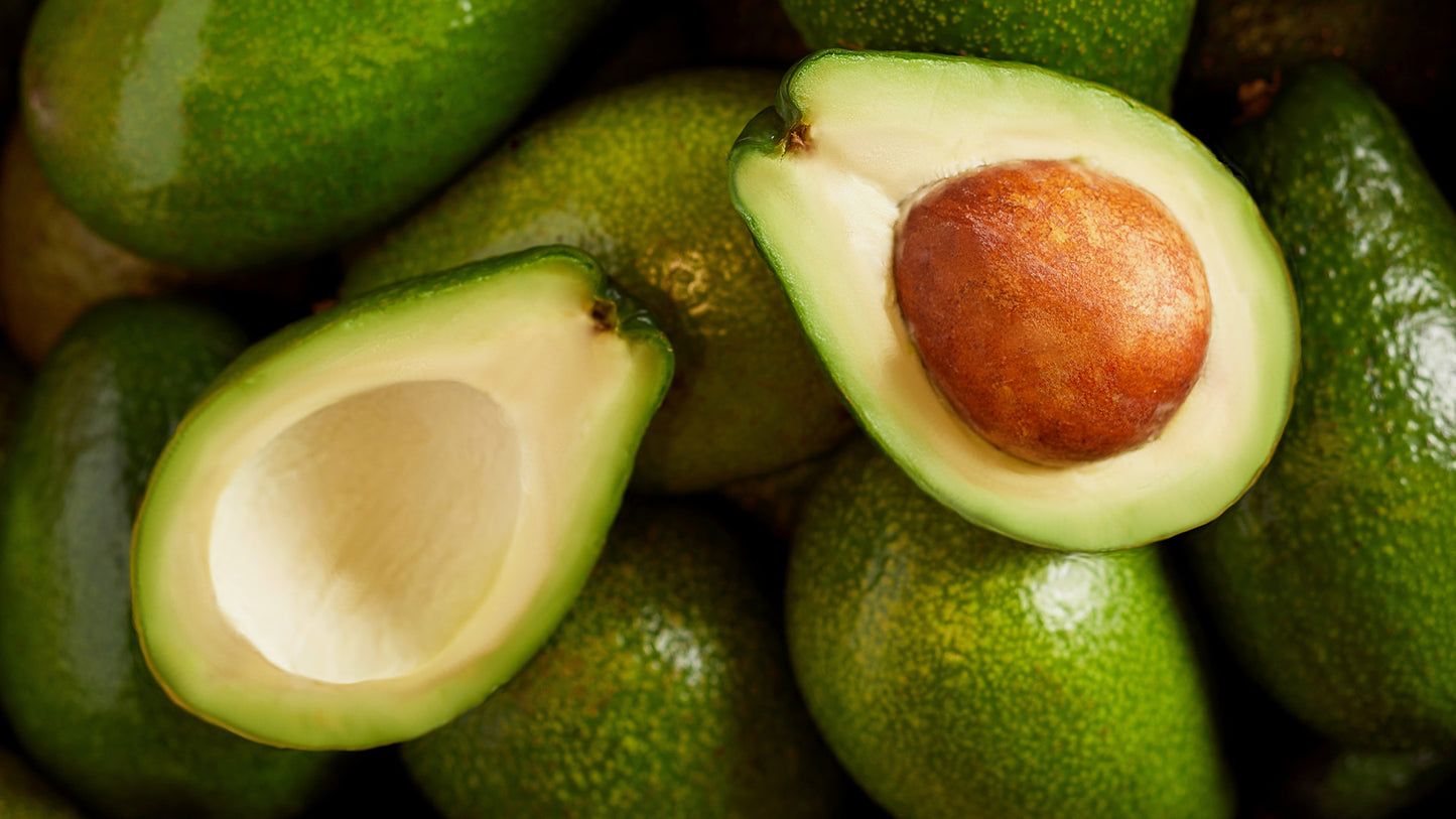 THE BENEFITS OF AVOCADO OIL IN SKIN CARE Jurlique Australia