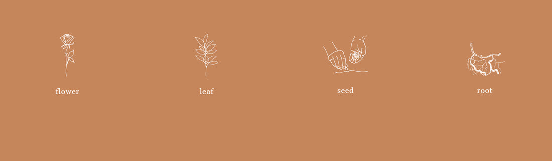 WHAT IS BIODYNAMIC FARMING…AND WHY DOES IT MATTER?