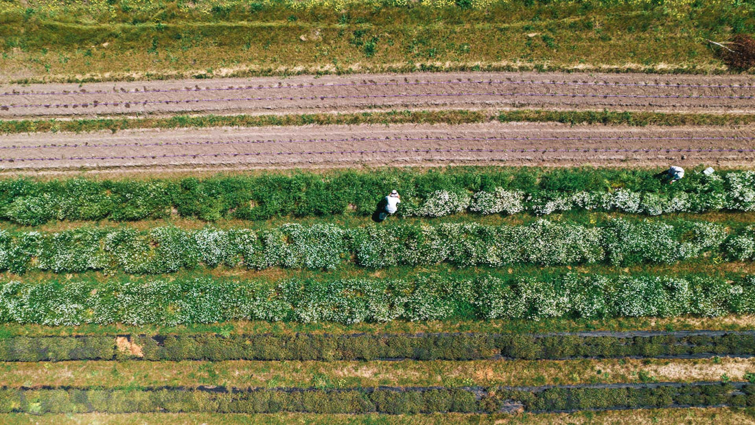 A Season for Thoughtful Gifting & Giving Back