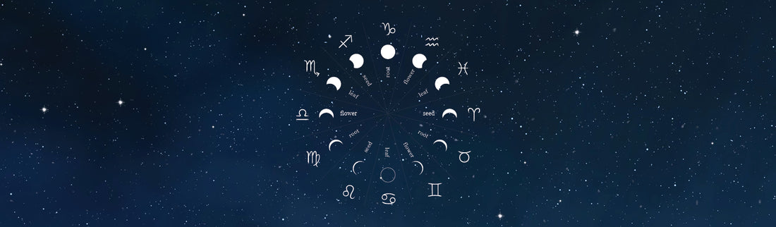 WHAT ARE BIODYNAMIC PREPARATIONS