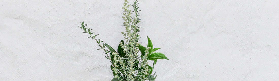 5 WAYS PLANTS CAN BOOST YOUR SKIN HEALTH