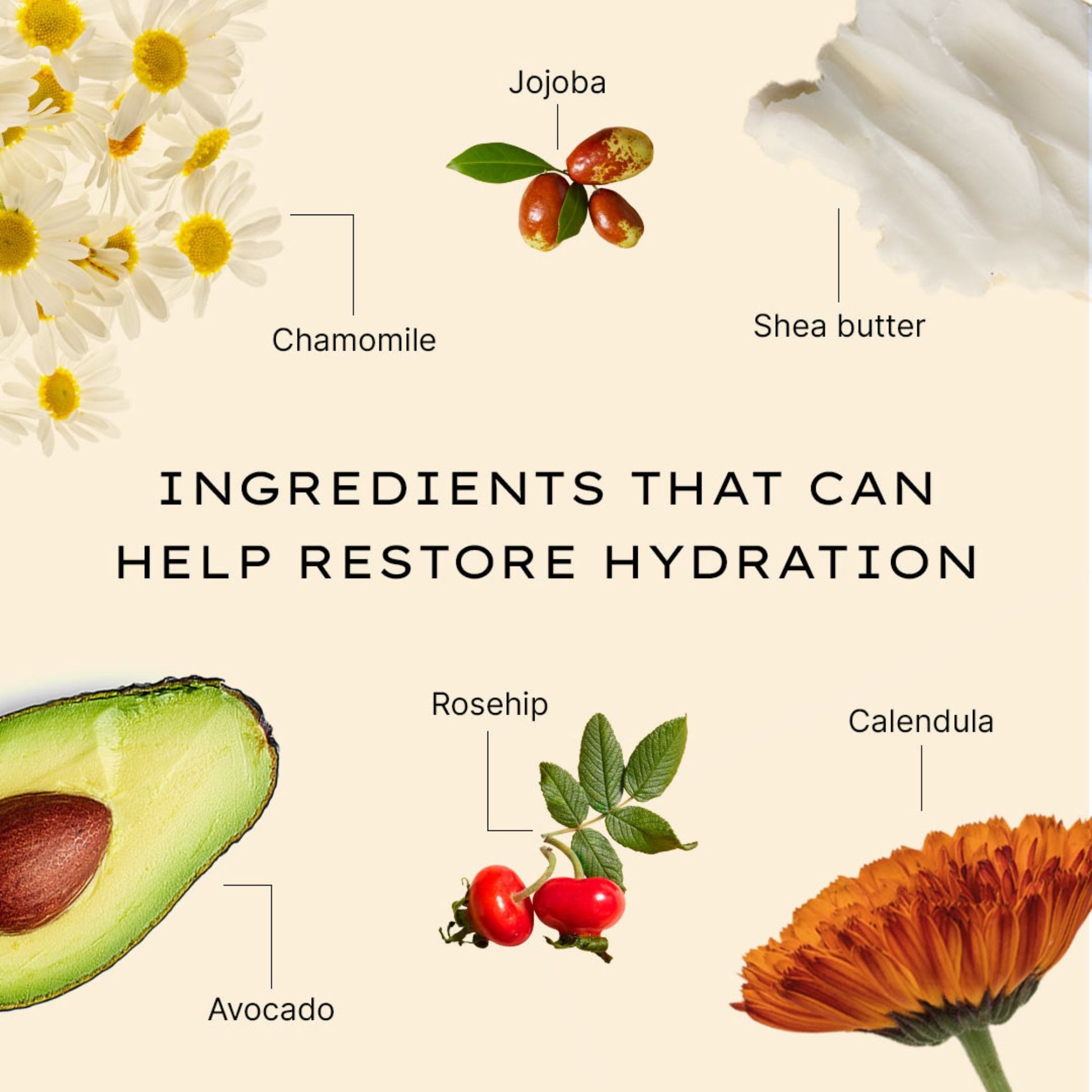 MRDC Key Ingredientsjpg