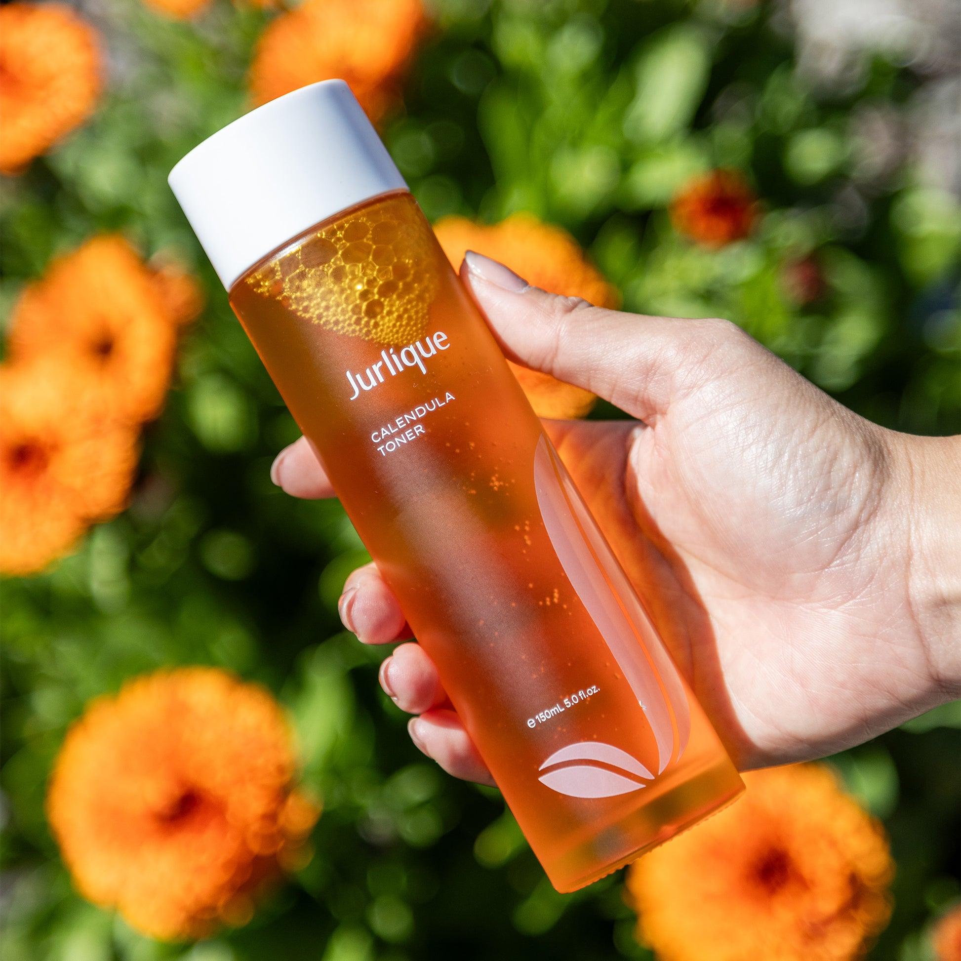 Calendula25_PDP Images_Toner 7jpg