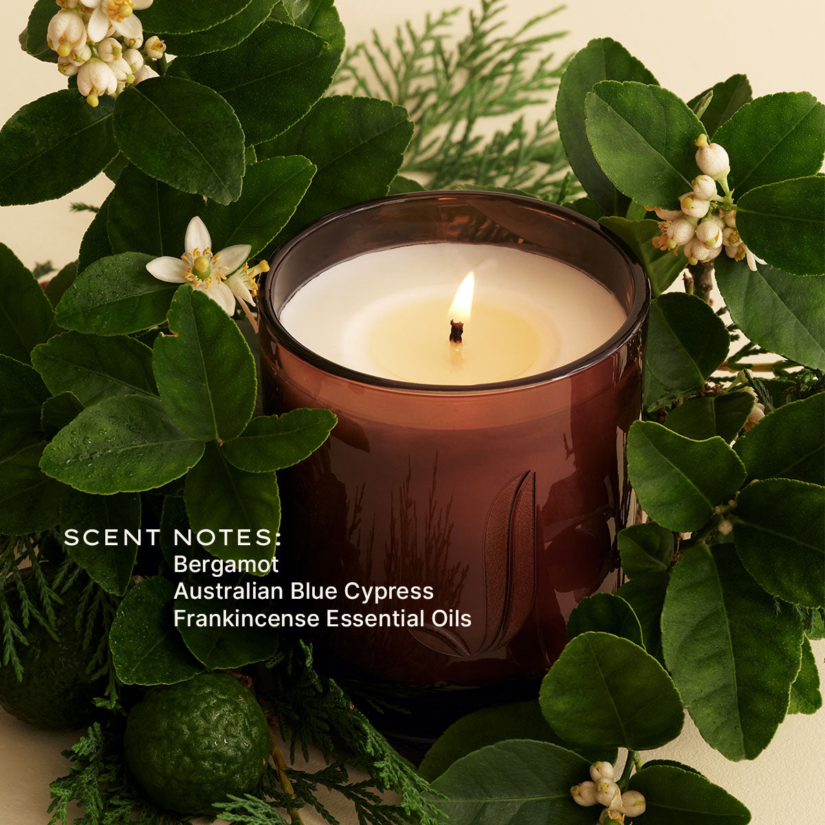 Aromatherapy PDP_Relax_2
