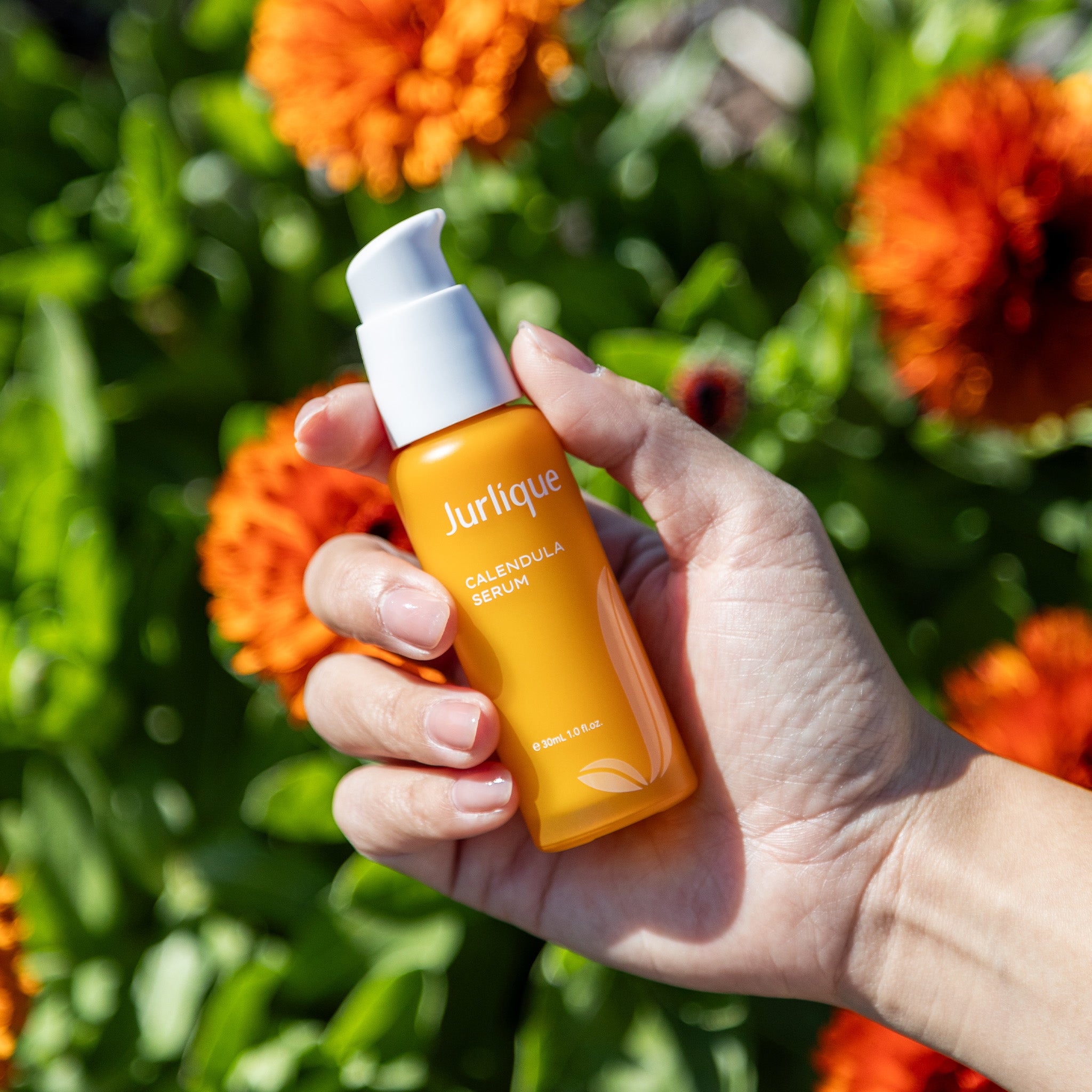 Calendula Serum