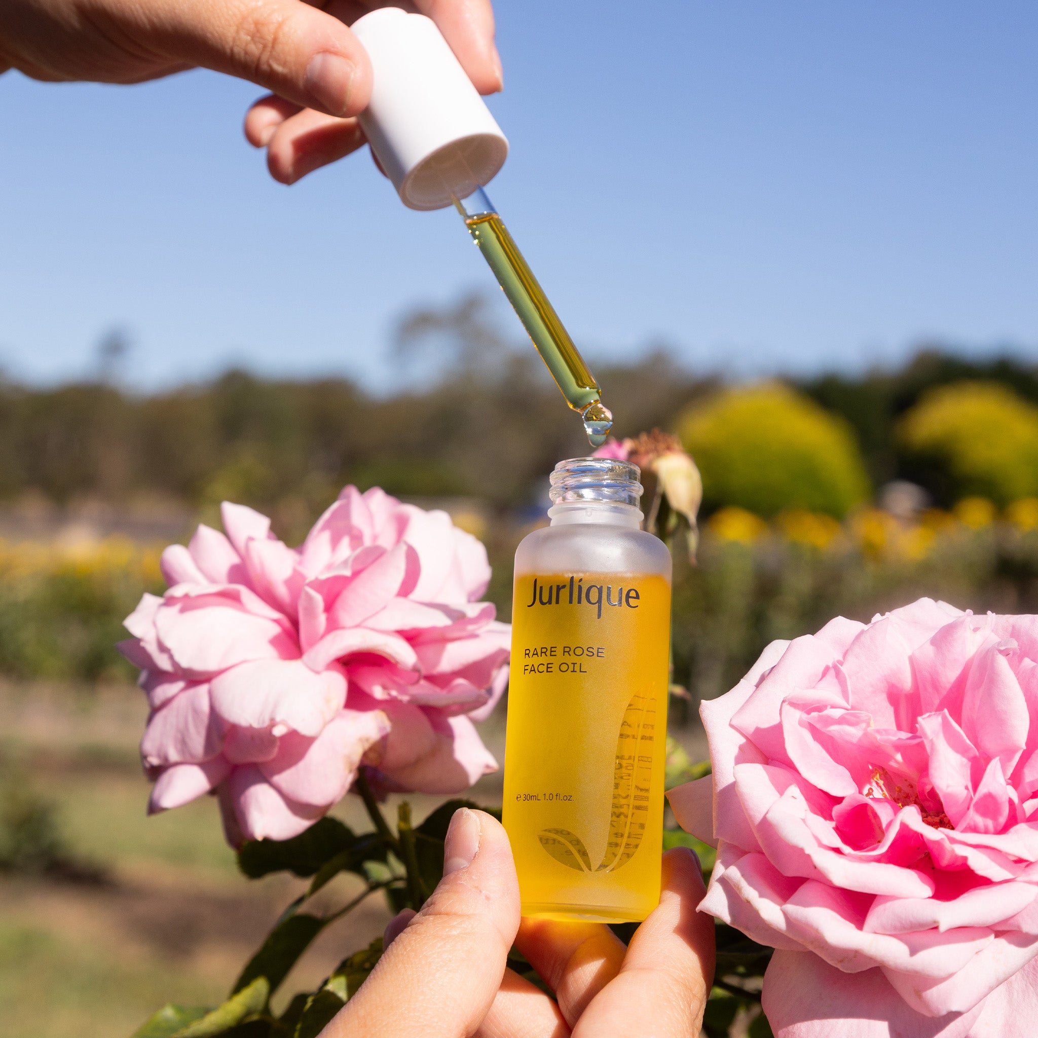 Jurlique Natural Skincare | Rare Rose Face Oil – Jurlique Australia