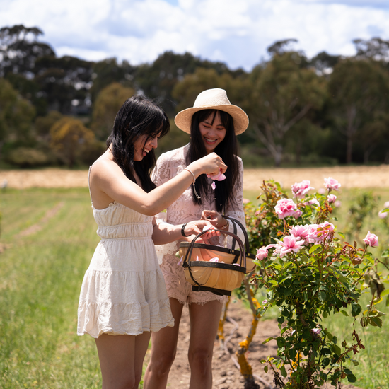 Handpicked Masterclass Jurlique Farm