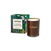 Lavender Candle