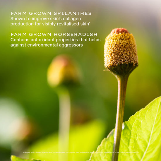Nutri-Define Light Cream