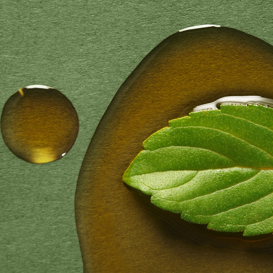 Hompage Slider Image