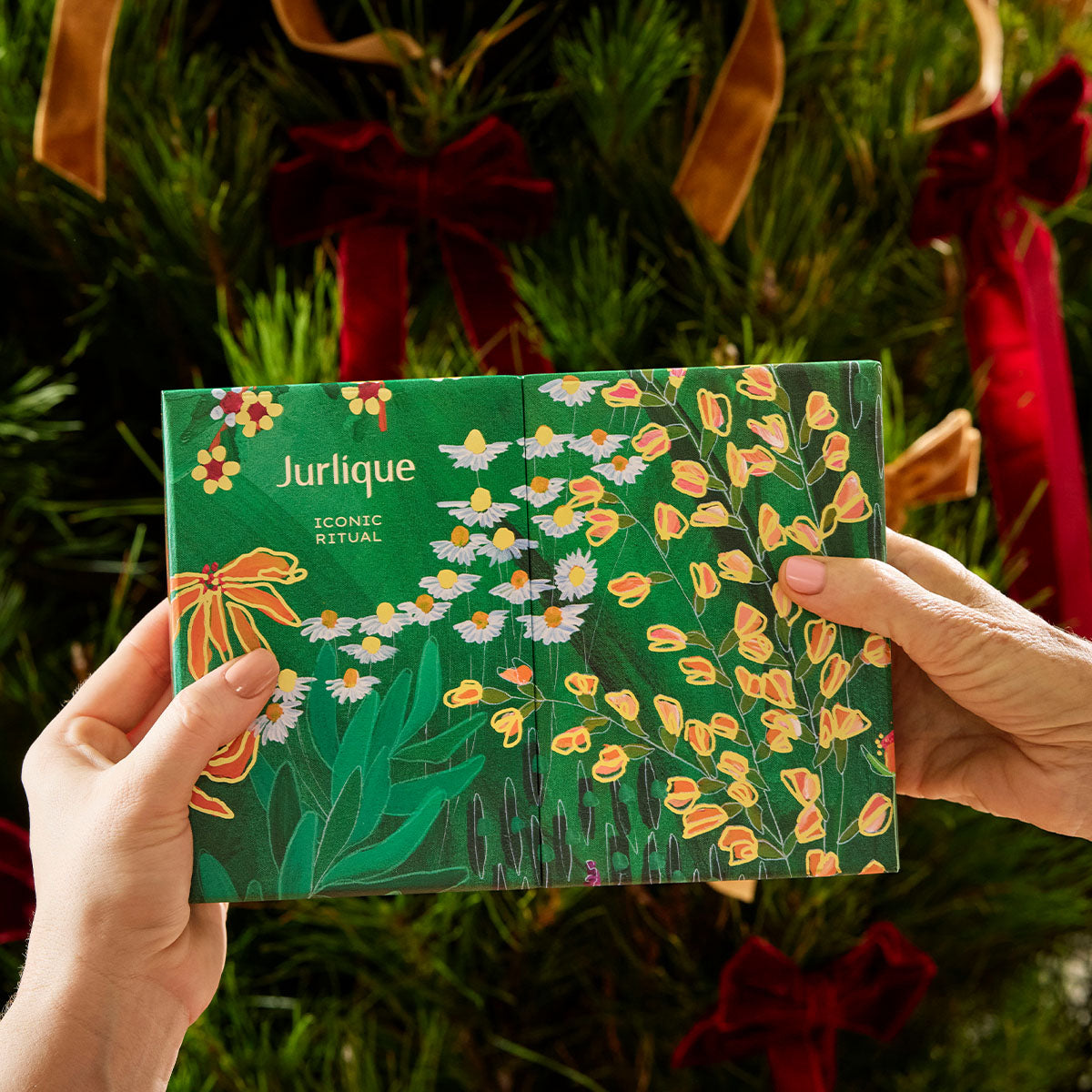 Xmas25_PDP_ICONIC RITUAL_3