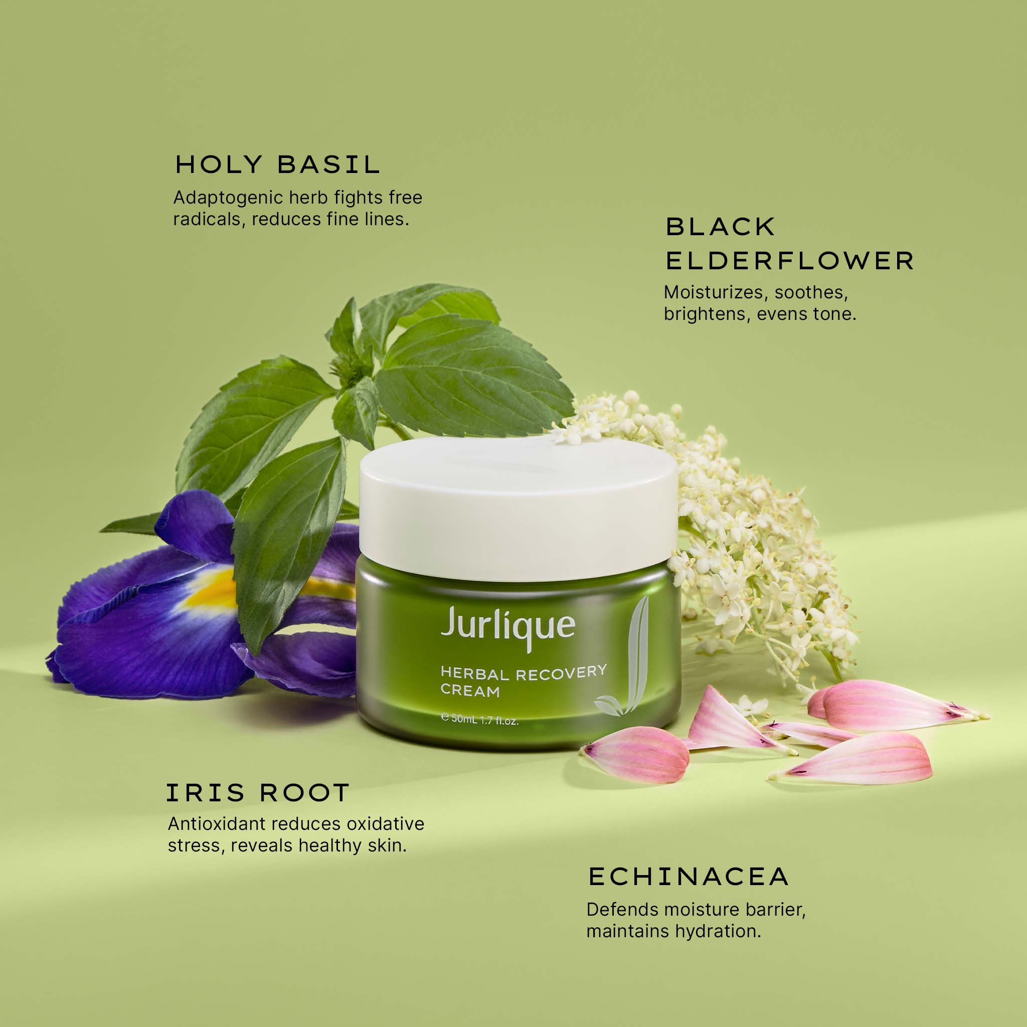 Herbal Recovery Cream | Jurlique Lightweight Moisturiser